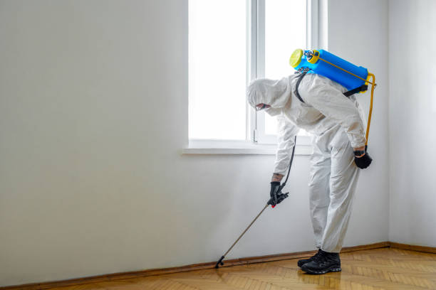 Best Pest Prevention Services  in Hewlett, NY